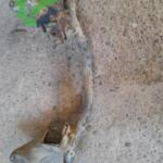 HUNDAİ H 100 MOTOR ALT TRAVERSİ BEŞİK