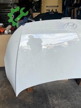 Hyundai Ioniq Hybrid Ön Kaput çıkma parça