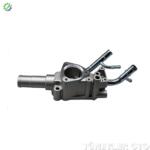 Nissan Almera 2002-2007 Termostat (ALT)