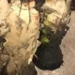 İSUZU TFS ARAZİLİ ÇIKMA ŞANZIMAN