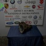 Mazda BT50 Çıkma Arazi Şanzıman