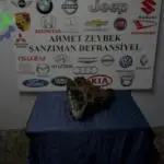 Mazda BT50 Çıkma Arazi Şanzıman