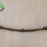 MERCEDES W213 AMG TAMPON BRAKETİ ÖN ORTA ALT 2138852500