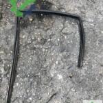 Mıtsubıshı Carisma sol arka kapı cam fitili