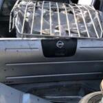 Nissan Skystar bagaj kapağı