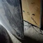 Audi A8 2023 Orijinal Çıkma Kaput 2002-2006