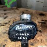 Citroen Berlingo Gaz Kelebeği Çıkma