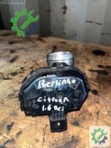Citroen Berlingo Gaz Kelebeği Çıkma