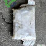 Citroen Berlingo Orijinal Çıkma Airbag (Hava Yastığı)