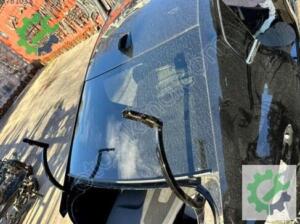Citroen C4 2020-2025 Orijinal Çıkma Arka Cam