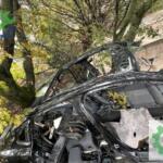 Çıkma Kesme Tavan Sacı — Citroen C4