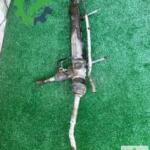 Orijinal Citroen C5 Direksiyon Kutusu Çıkma