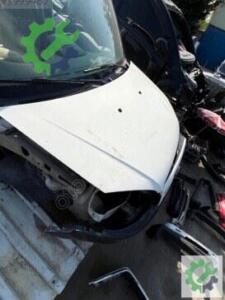 Çıkma Ön Kaput — Fiat Doblo (2. Adet)