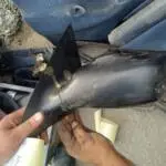 Ford Mondeo Orijinal Çıkma Ayna Sinyali