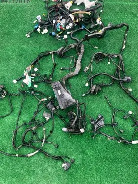 Honda Civic Elektrik Tesisatı çıkma parça