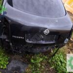 Nissan Primera 2024 Kesme Tavan Sacı Çıkma