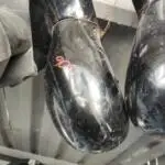 Peugeot 206 Sağ İç Ayna Çıkma