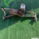 Peugeot 206 Silecek Kolu Çıkma