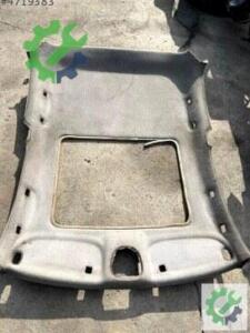 Peugeot 206 Tavan Döşemesi Çıkma