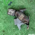 Orijinal Renault Clio Emniyet Kemeri Çıkma