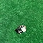 Renault Clio Basınç Sensörü Çıkma