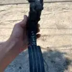 Çıkma Pedal — Renault Clio