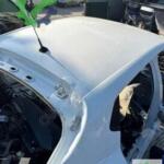 Renault Clio Orijinal Çıkma Tavan