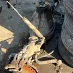 Renault Mascott Komple Defransiyel Çıkma