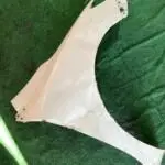 Toyota Corolla Sağ Ön Çamurluk Çıkma
