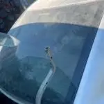 Çıkma Orijinal Arka Cam Toyota Corolla