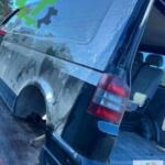 Volkswagen Transporter Arka Tavan Sacı Çıkma