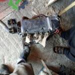 Fiat Palio Motor Komple Çıkma Parça Adıyaman