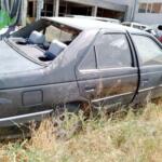 Peugeot 405 çıkma Şamandıra