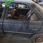 PEUGEOT 405 SAĞ SOL ARKA KAPILARI