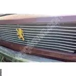 peugeot 504 on tampon