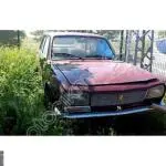 peugeot 504 on tampon