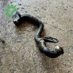 2014 Nissan Qashqai Intercooler Borusu Çıkma Parça Ankara