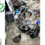 Renault Motor Komple çıkma parça - DEMİRYÜREK AĞIR VASITA YEDEK PARÇA Sakarya