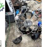 Renault Motor Komple çıkma parça - DEMİRYÜREK AĞIR VASITA YEDEK PARÇA Sakarya