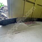 RENAULT SYMBOL THALİA ORİJİNAL TAMPON IZGARA