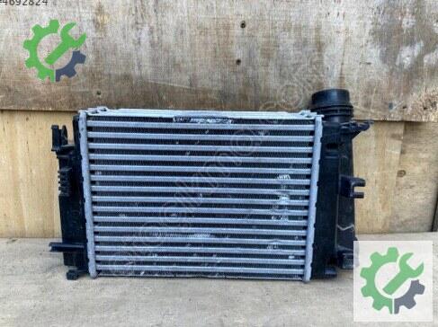 Renault Talisman Intercooler Radyatörü 144614EA1A çıkma parça