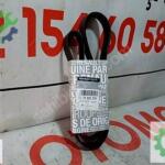 Renault alternatör V kayışı 117202097R 7PK1165 orijinal çıkma