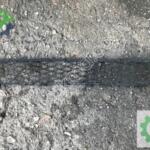 Toyota Corolla Ön Tampon Izgarası 2003-2007