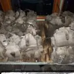 AUDİ ÖN FREN MERKEZİ -AUDİ ARKA FREN MERKEZİ
