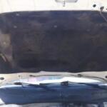 VW POLO KLASİK 1997-2001 KAPUT KEÇESİ