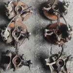 VOLKSWAGEN POLO HEŞBEK ÇIKMA ORJİNAL TAŞIYICI
