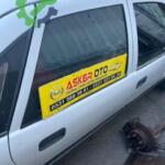 Opel Vectra A sağ arka kapı camı