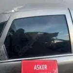 Opel Vectra b sağ arka kapı camı