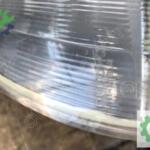 Volkswagen Polo Sinyal Lambası Sol 1995-2000