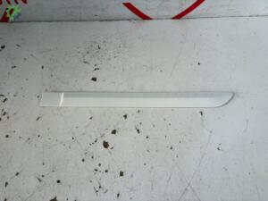 TOYOTA RAV4 SOL ARKA KAPI BANDI ÇITASI
